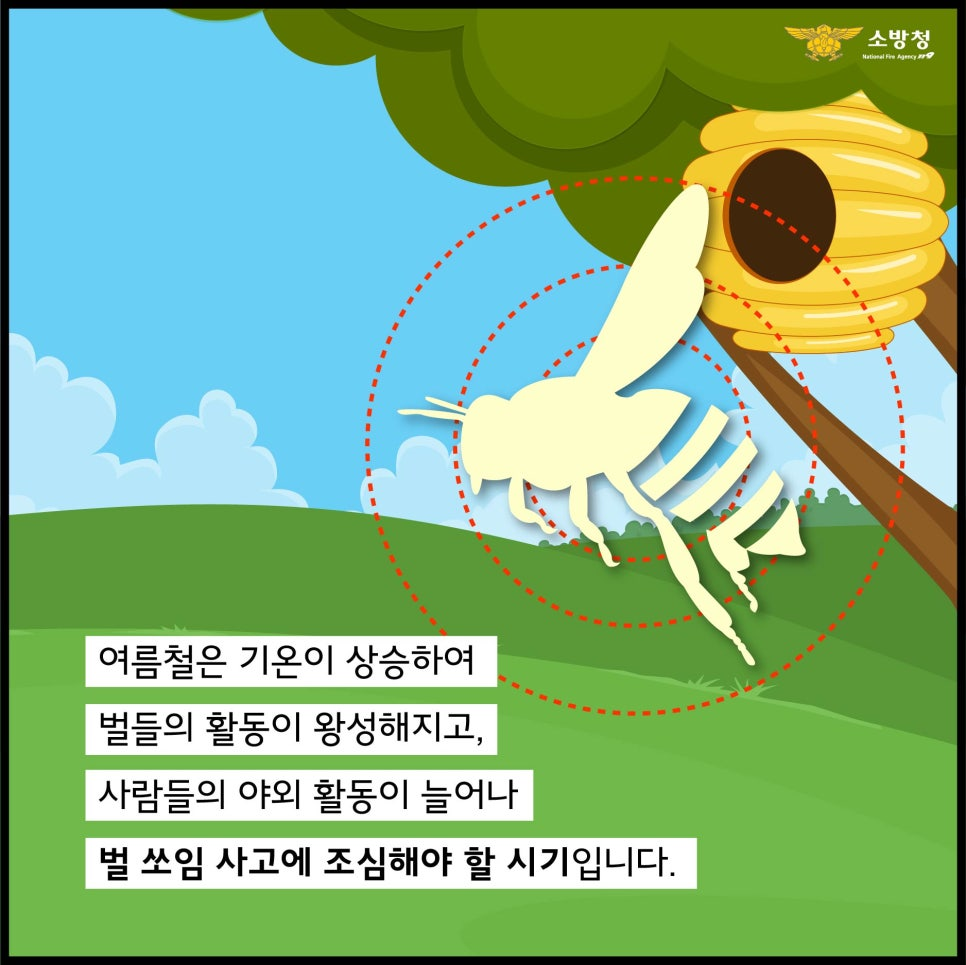 0714_벌쏘임사고-02.jpg