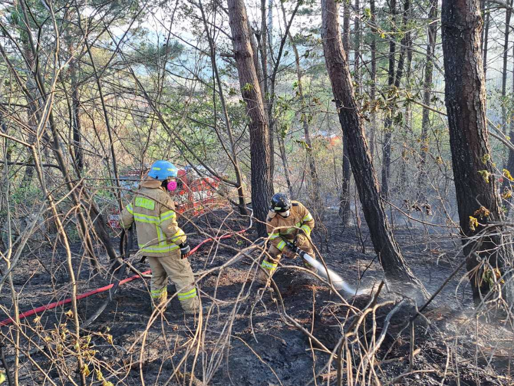 남면 산불현장.jpg