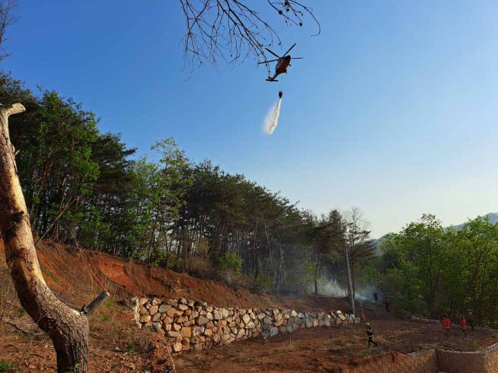 두촌면 산불현장.jpg