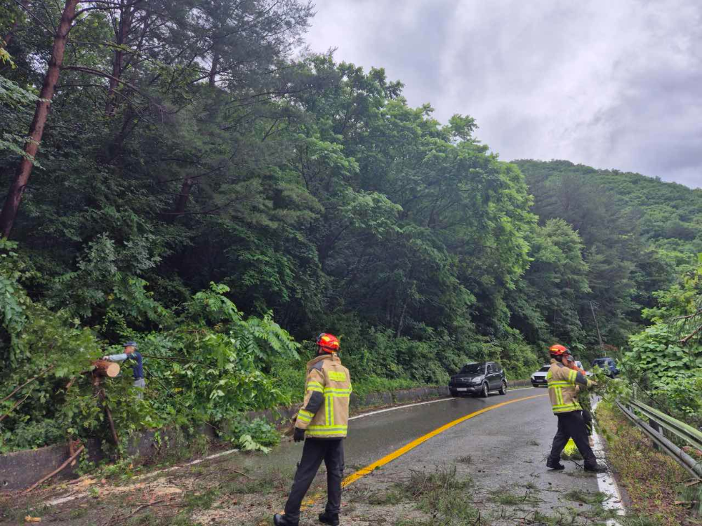 의용소방대 풍수해 순찰 2.jpg