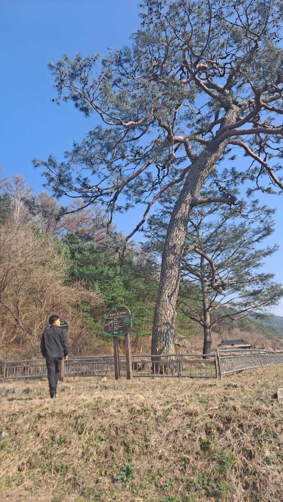 사본 -Photo1744181246.293556.jpg