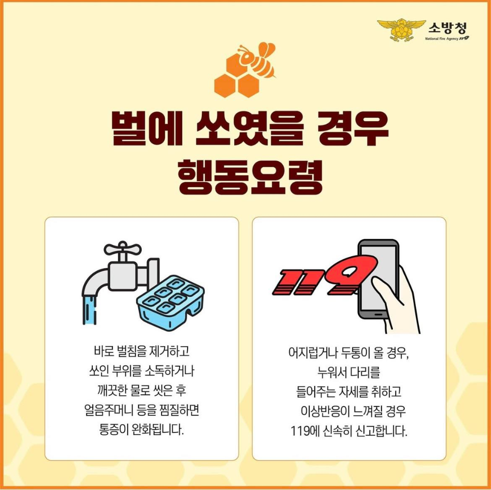벌쏘임행동요령.jpg