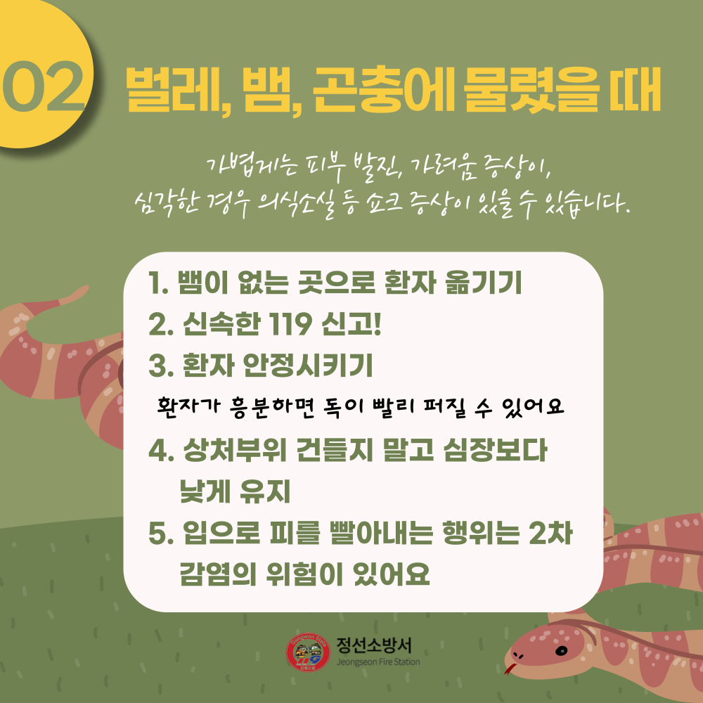 가을철 산악사고 (3).jpg