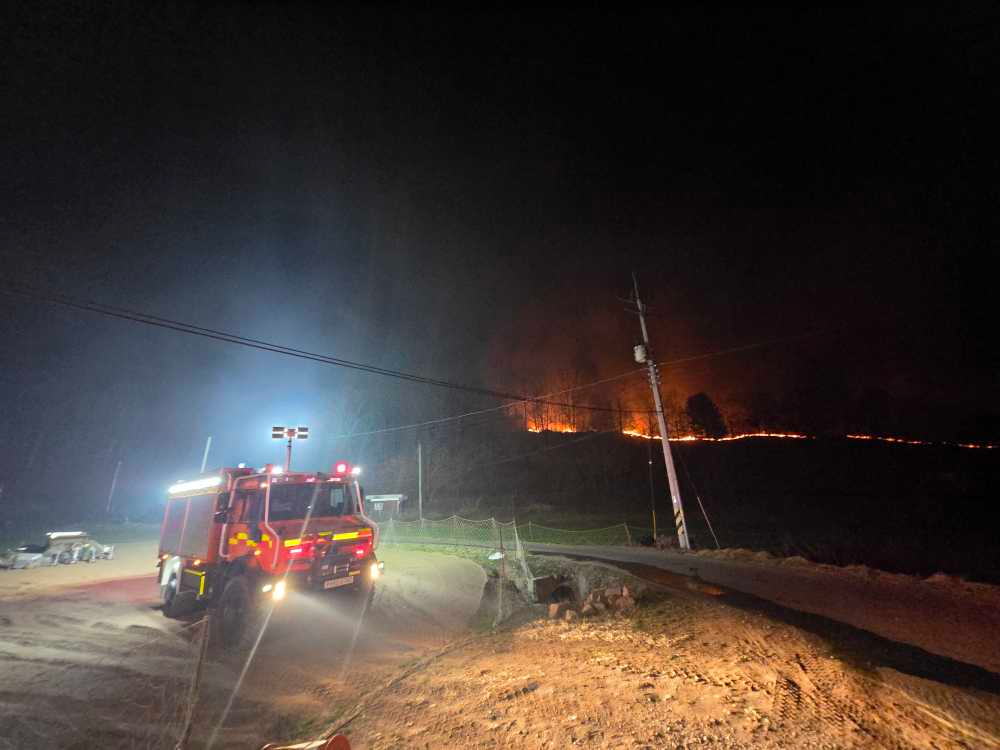 경북의성 현장활동1.jpg