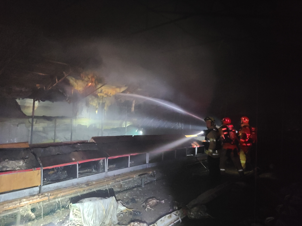 홍천 양계장 잔화정리1.jpg