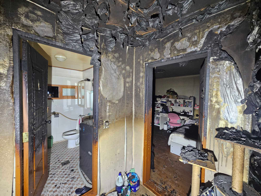 영월 영흥리 주택4.jpg