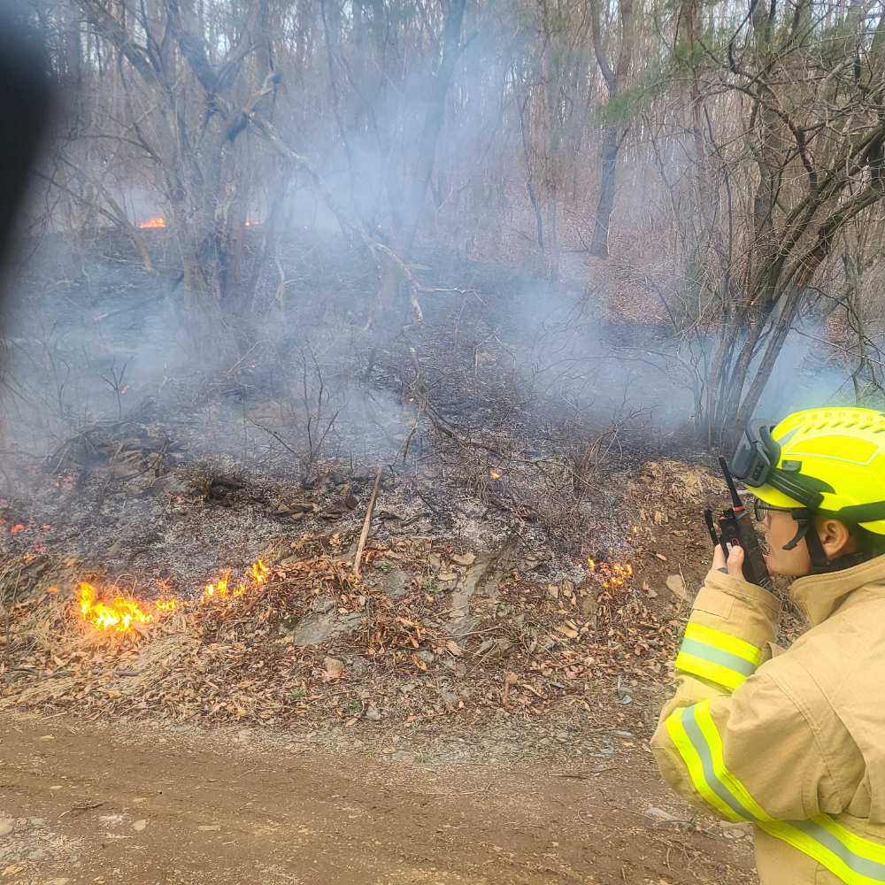 1742 영월 남면 산림화재 소방활동사진1.jpg
