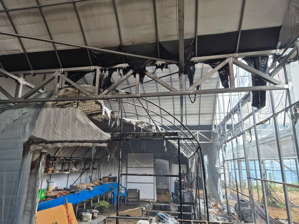 홍천 비닐하우스2.jpg