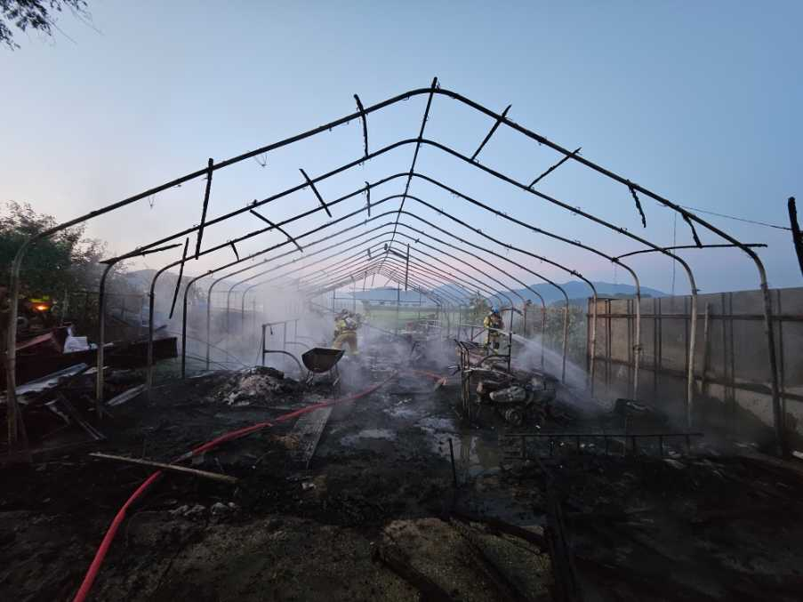 0436 철원 대마리 창고용 비닐하우스 1.jpg