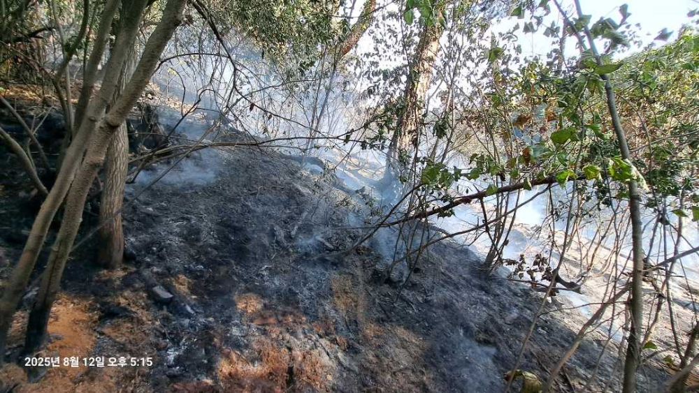 1623 횡성 우천산림화재2.jpg