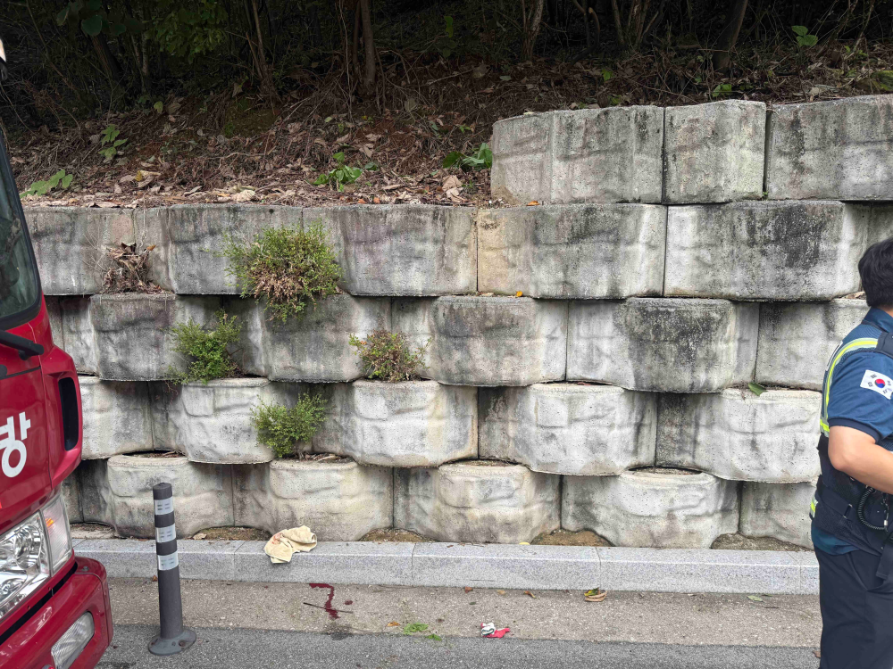 춘천 가정리 추락.jpg