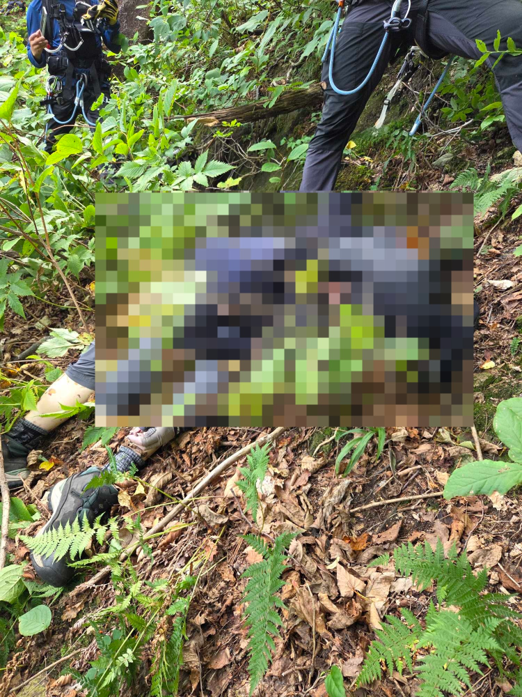 0914 2056 속초 설악산 실종자 소방활동 사진.jpg