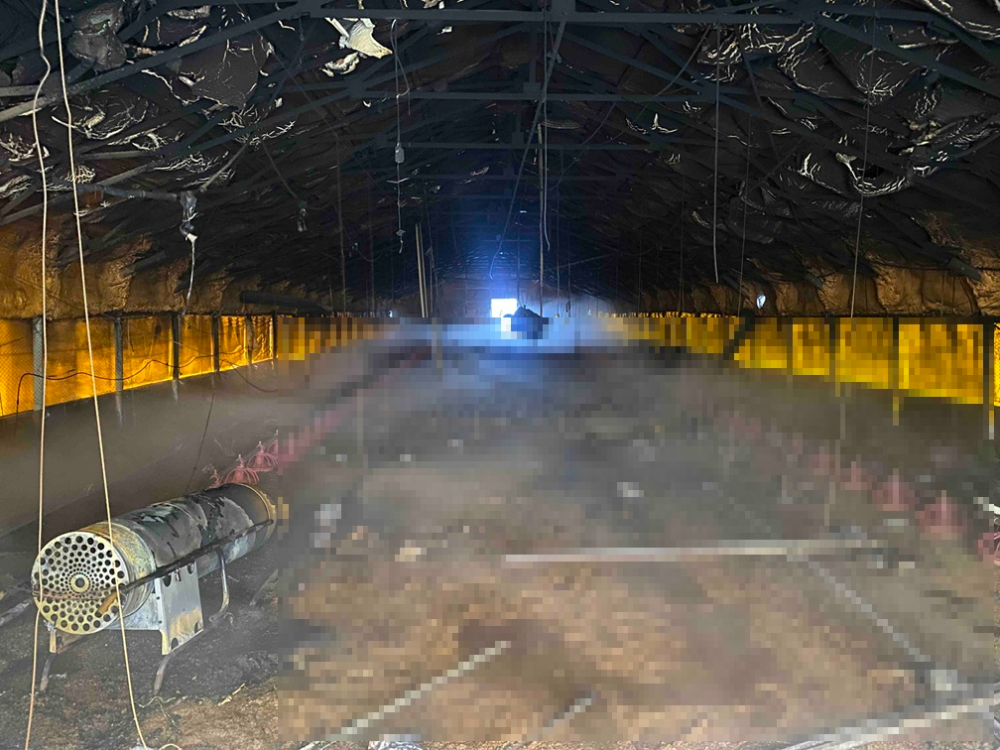 0821 춘천 동산면 양계장 화재-2.jpg