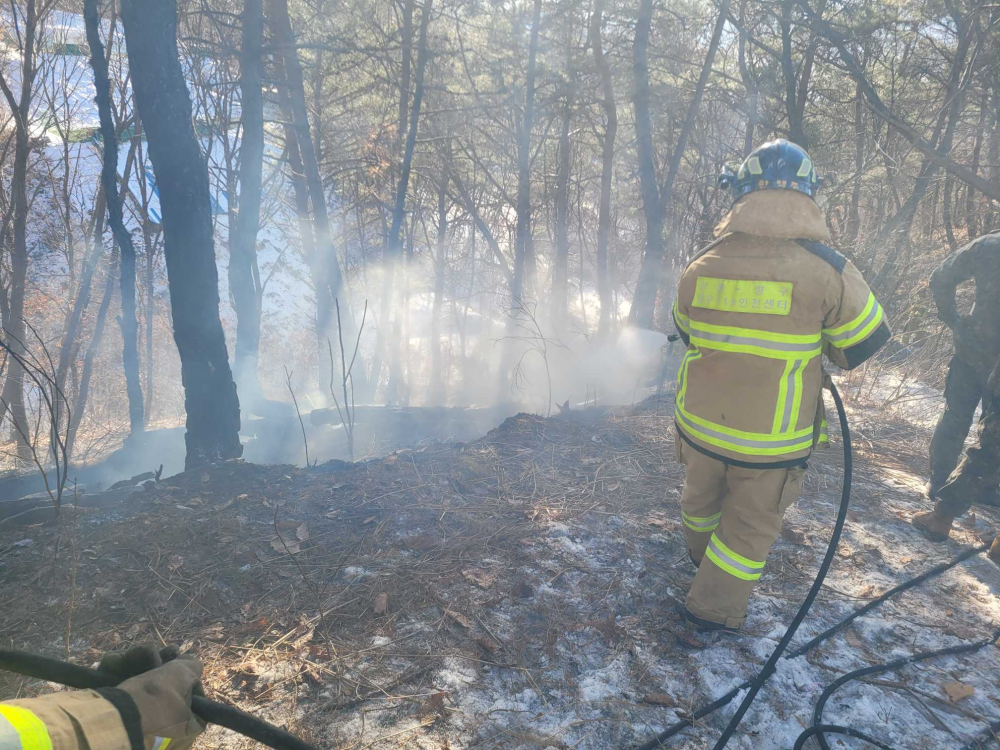 1441 양구 임야화재.jpg