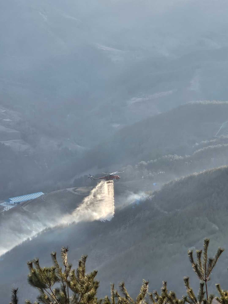 1336 삼척 도계읍 산불 2.jpg