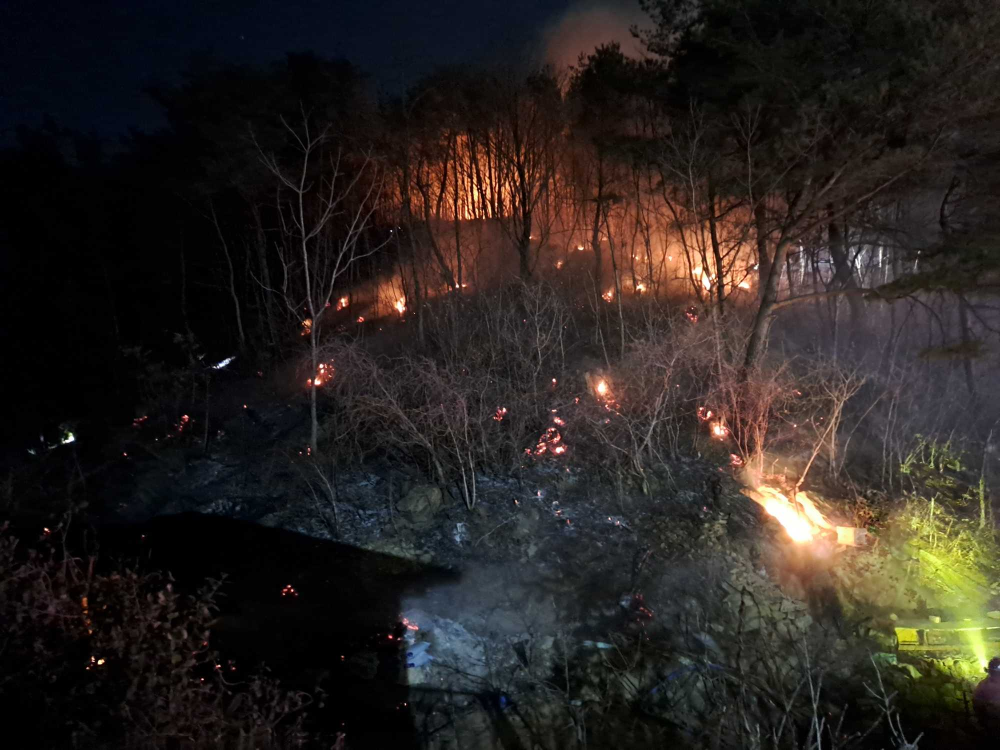 2003 동해 산불.jpg