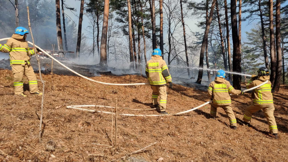 １０１８ 양양 현북면 산림화재１.jpg