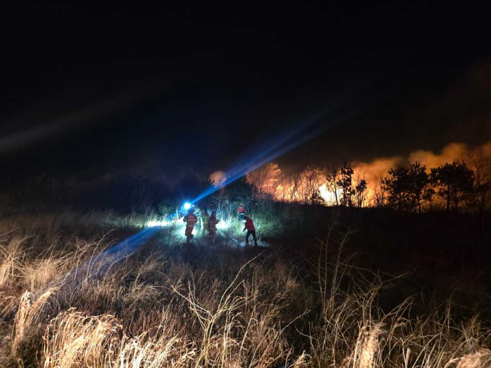 고성 토성면 인흥리 산림화재-1.jpg