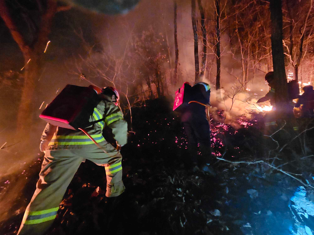 1854 춘천 신동면 팔미리 산림화재 4.jpg