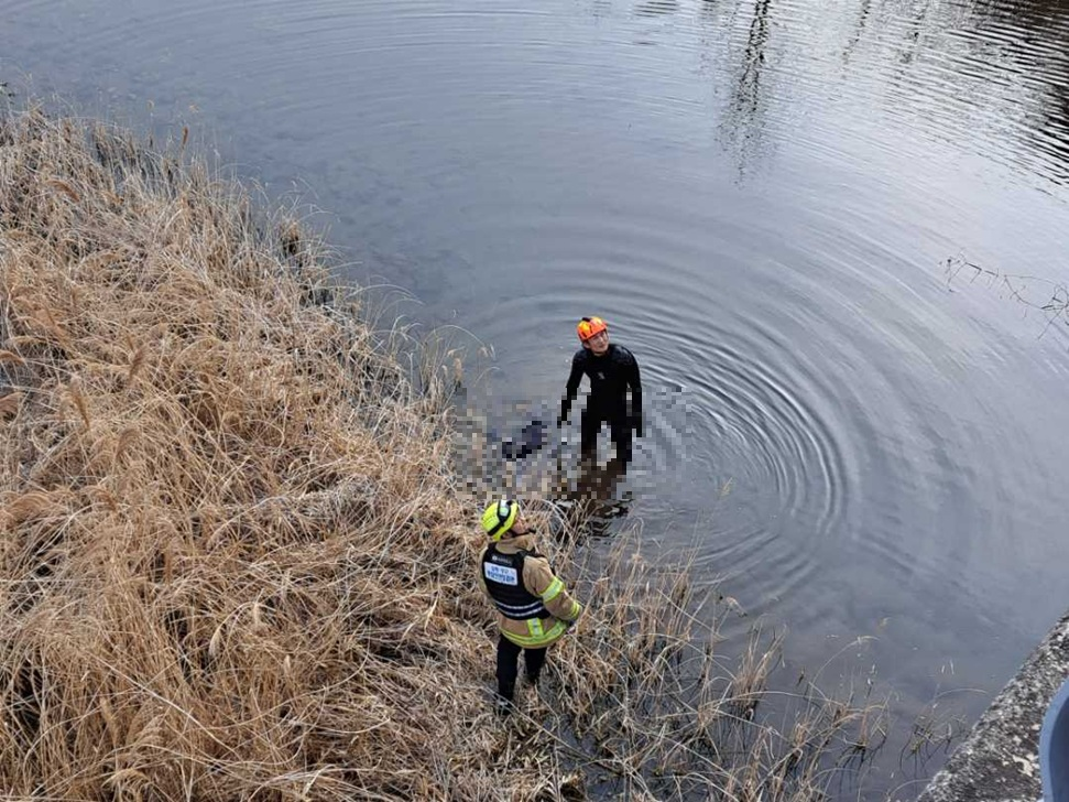 1646 양구 양구읍 한전리 익수자-1.jpg