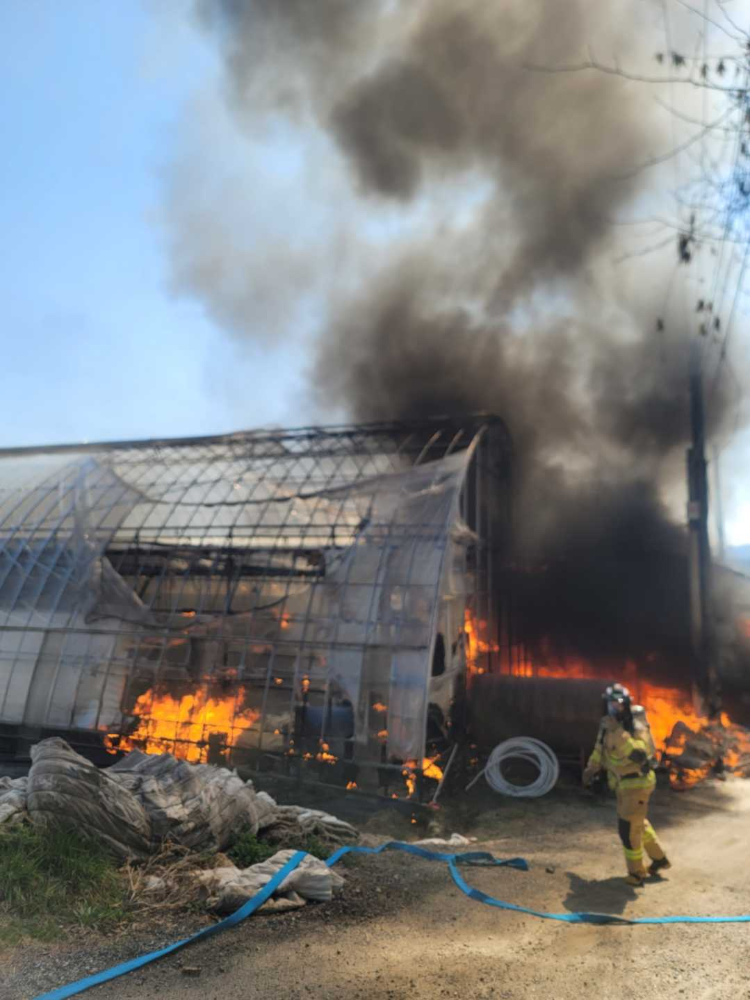 1408 철원 비닐하우스 화재.jpg