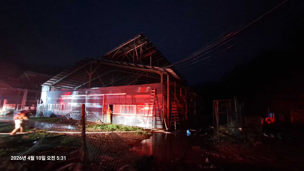 0454 횡성 서원면 금대리 양계장화재-1.jpg