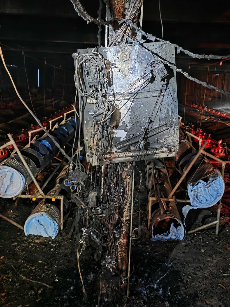 0454 횡성 서원면 금대리 양계장화재-2.jpg