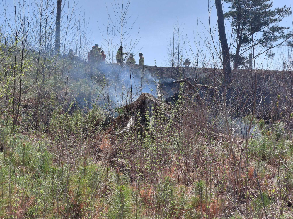 1139 횡성 산림화재1.jpg