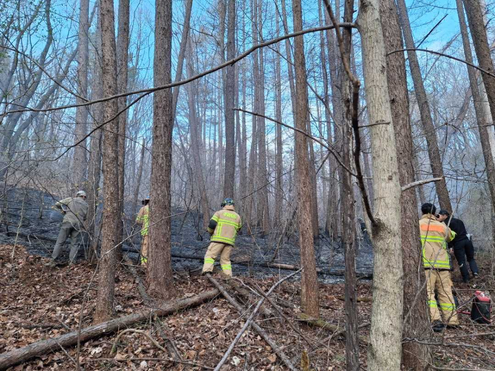 1643 평창 대관령면 산불.jpg