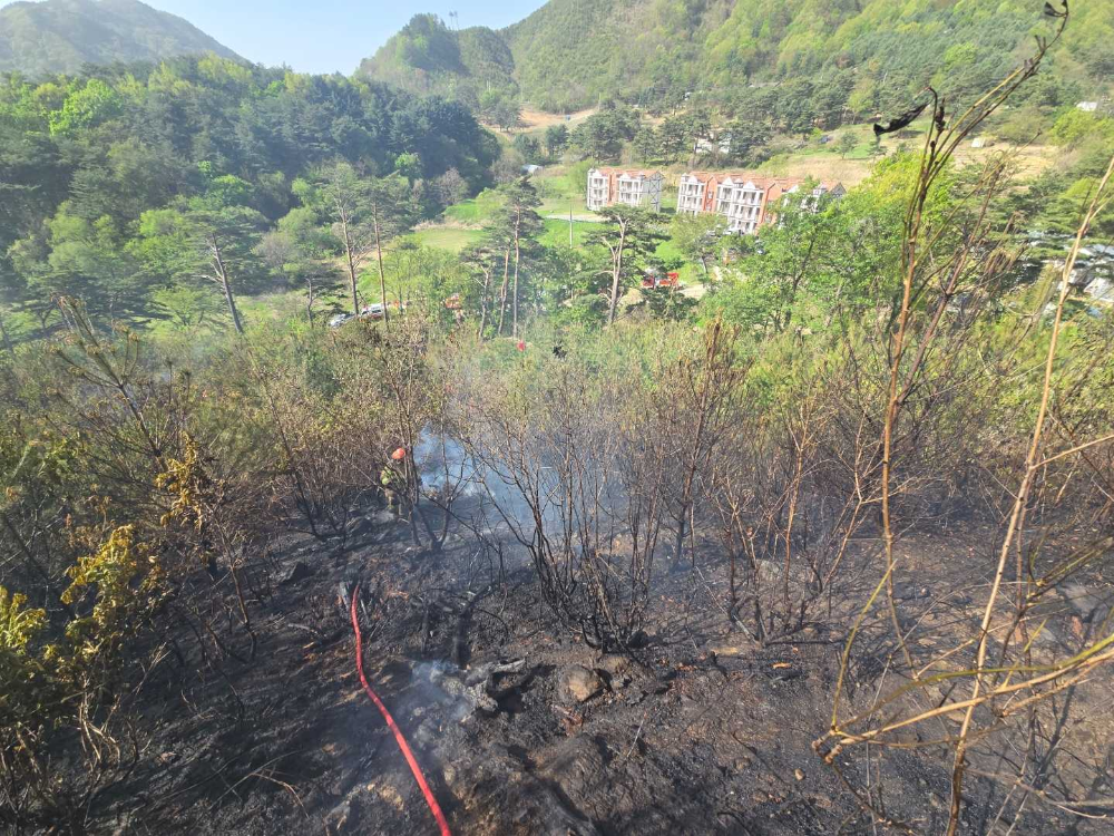 0743 양양 서면 논화리 산림화재-1.jpg
