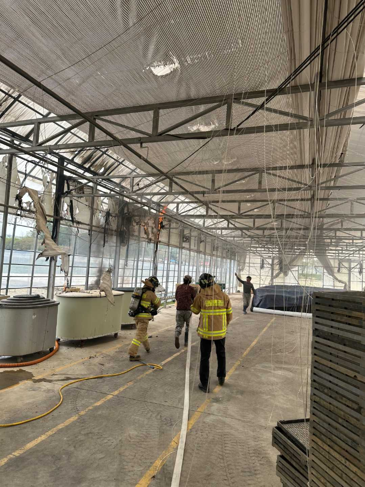 1245 원주 부론면 흥호리 비닐하우스화재.jpg