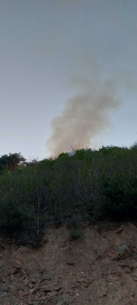 영월 산림화재-1.jpg