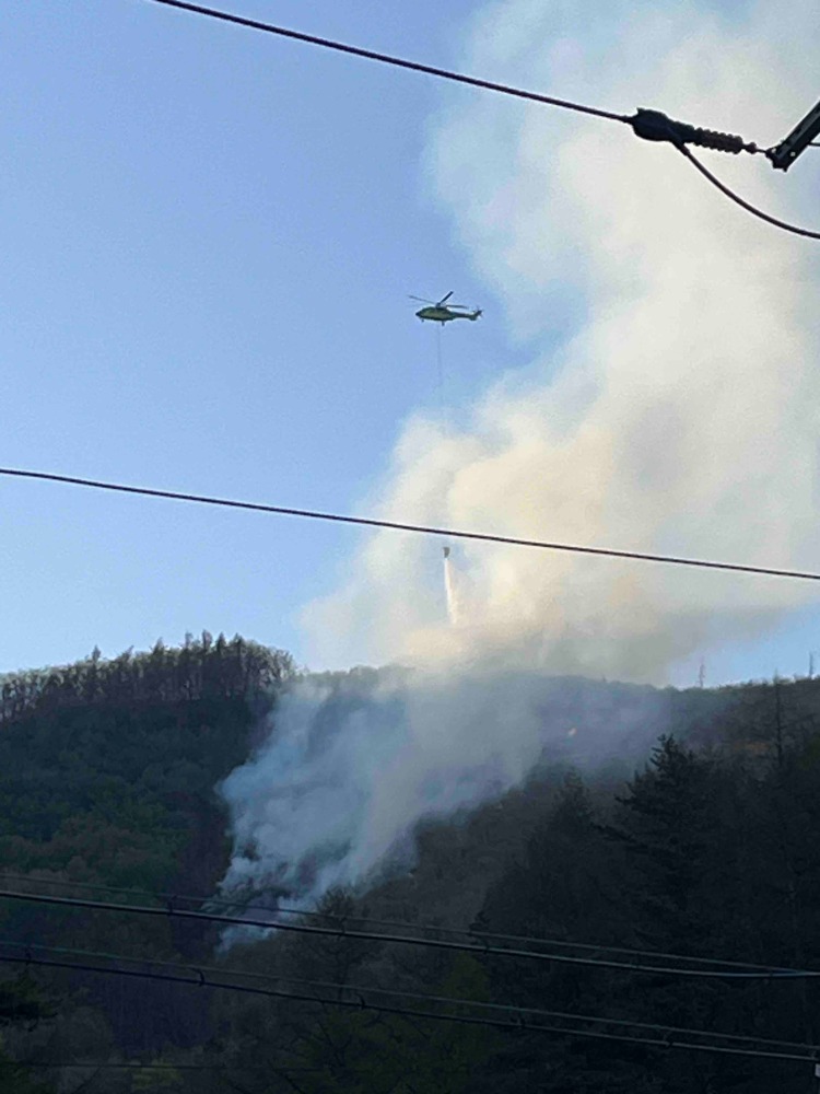 1733 삼척 산림화재1.jpg