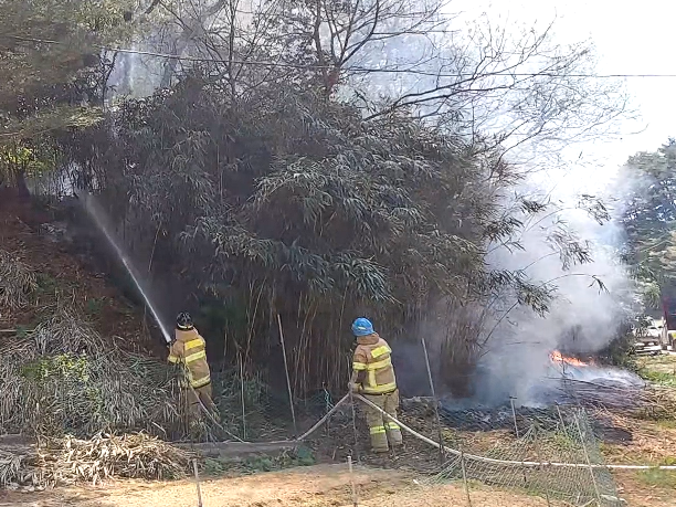 1242 대나무숲 화재.png