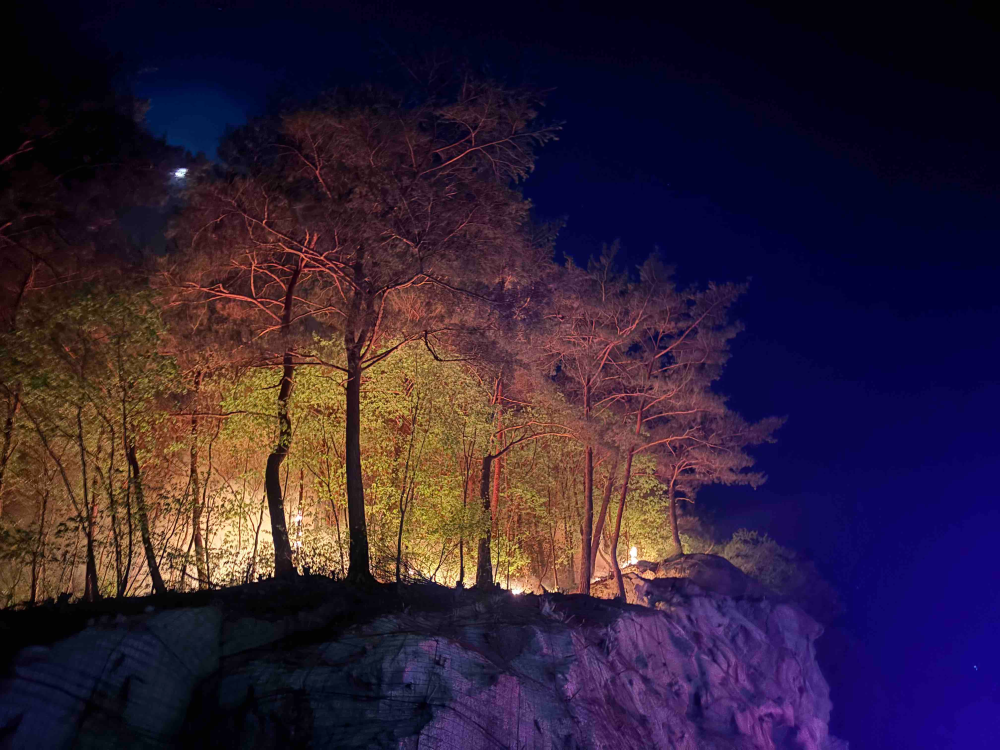 2059 영월산림화재 (2).jpg