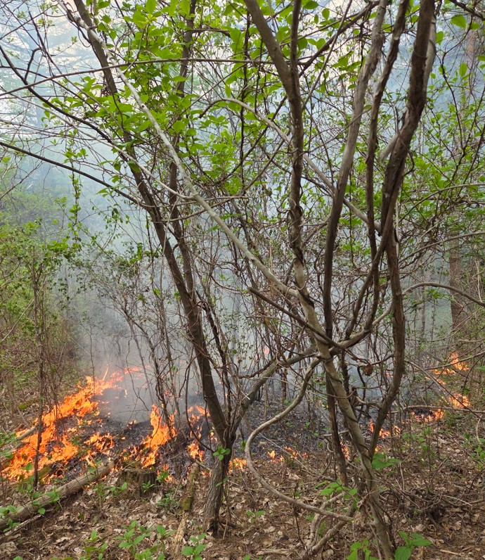 1620 인제 상남면 하남리 산림화재-1.jpg