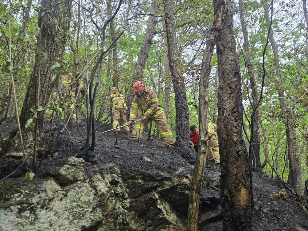 1645 화천 간동면 방천리 산림화재-2.jpg