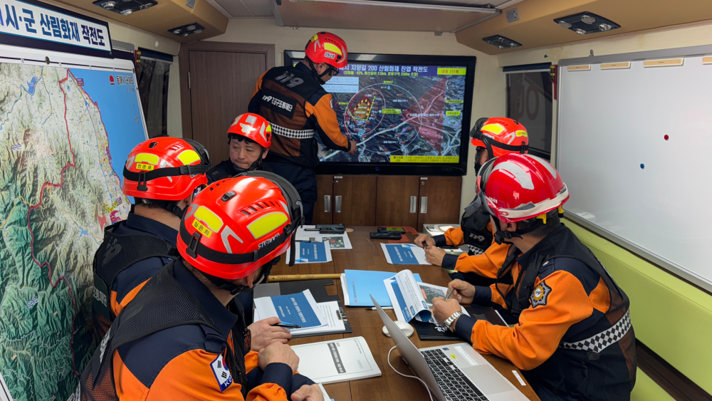 동해안 대형 산림화재 사진 2.jpg