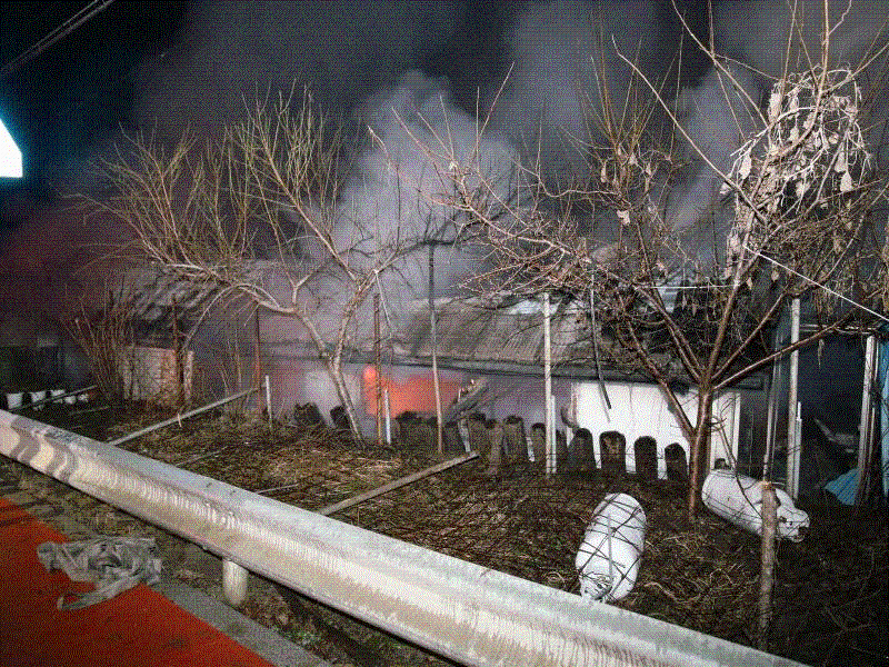 제7호 행복하우스1.gif