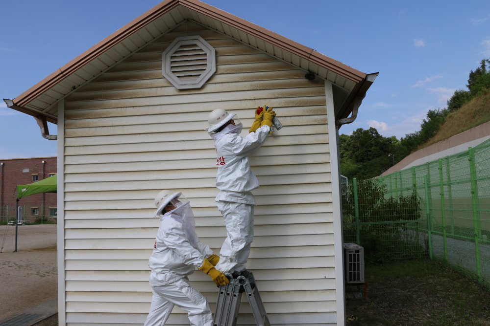 1-2. 벌집제거.JPG