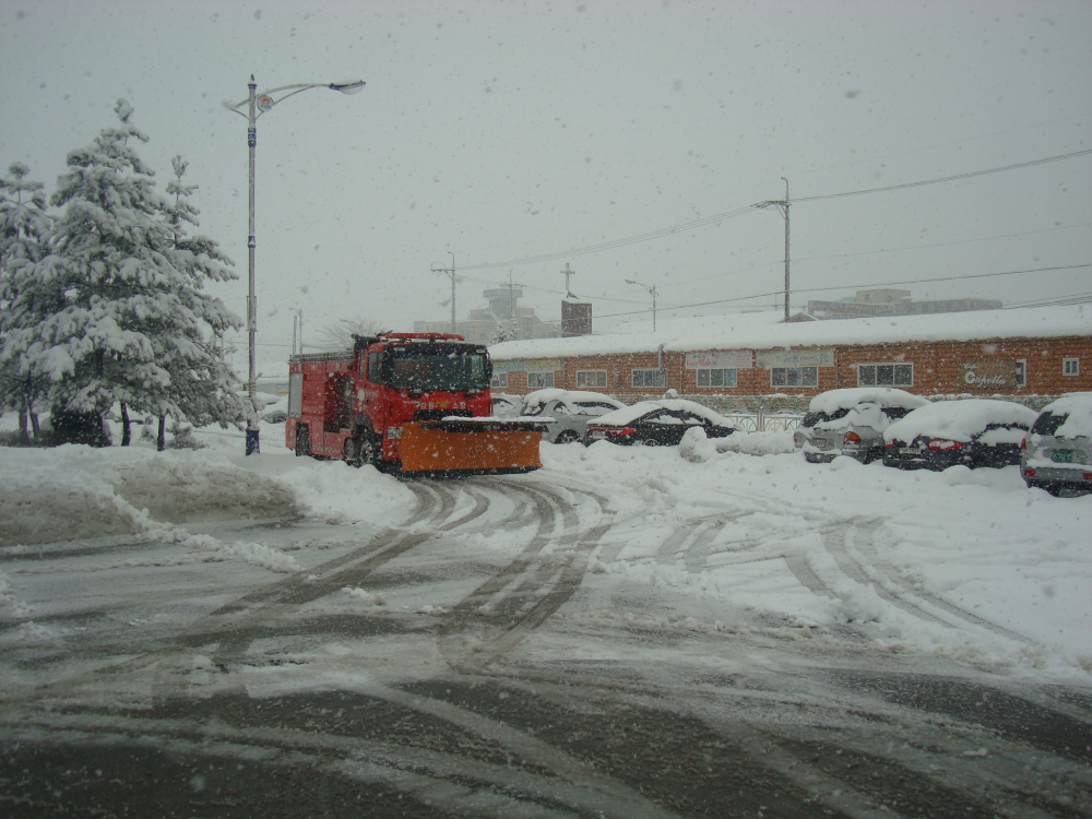 DSC03723.JPG