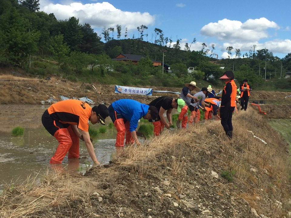(170526사진2)_횡성소방서,_그때_그_시절‘추억의_모내기_체험’.jpg