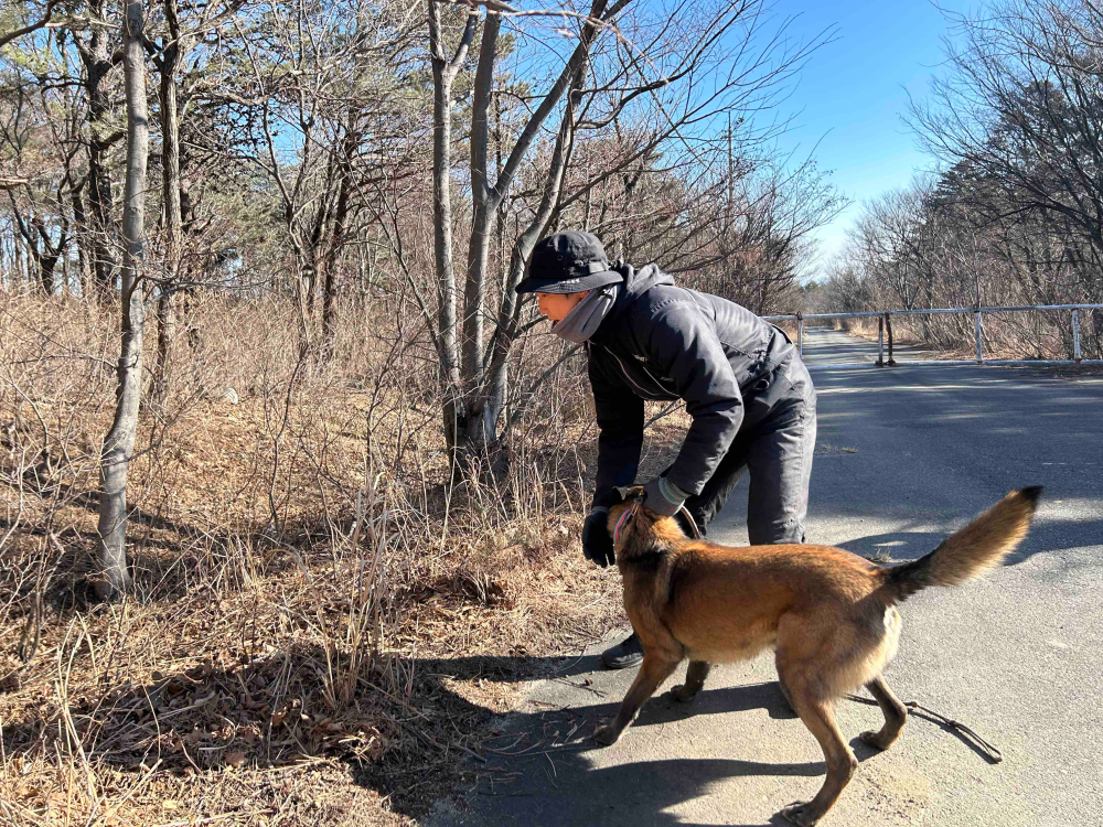2.구조견 수색 지시 모습.jpg