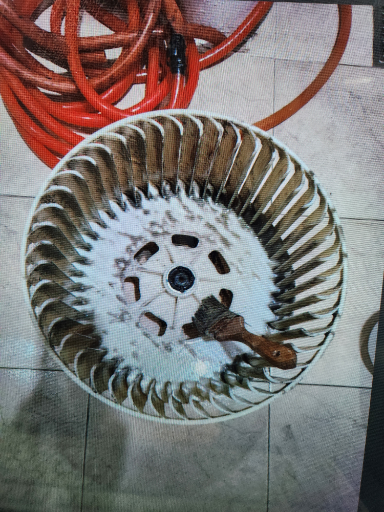 20250510_163110 - 복사본.jpg