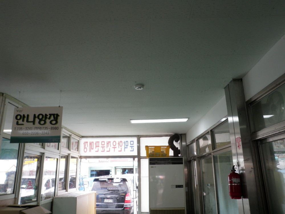 P9030069.JPG