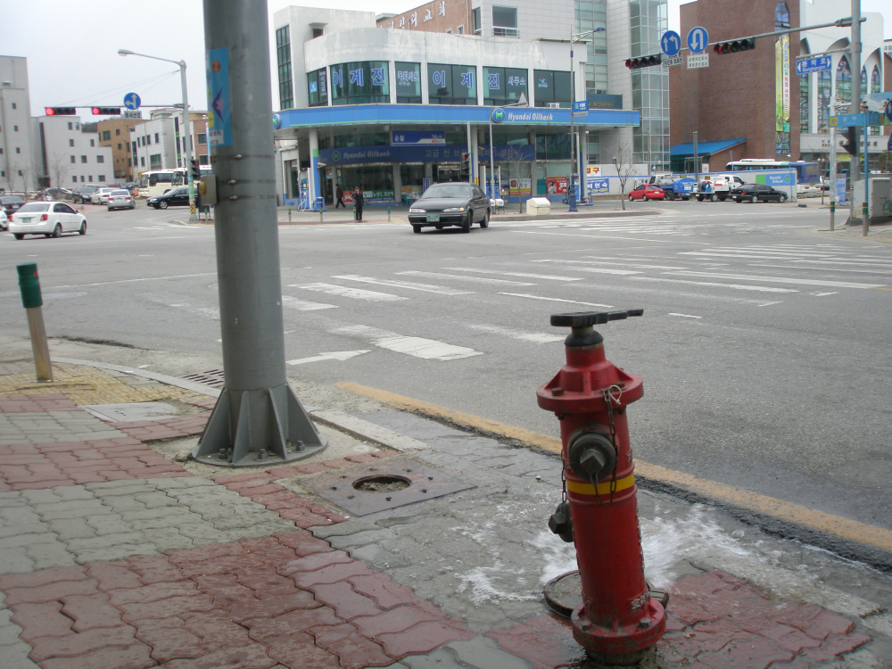 P3090323.JPG