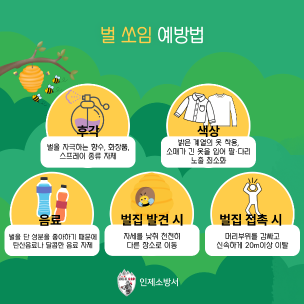 인제소방서, 벌 쏘임 사고 예방·대처법 안내