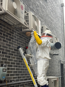 무더운 여름, 더욱 땀 흘리는 양구소방!