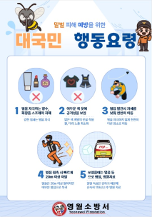 [포토뉴스]말벌 피해 예방을 위한 대국민 행동요령!